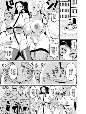 [REM9 (ハミルタン)] こいつらが俺達の新しい仲間だ! (ワンピース)｜這兩位以後就是我們的新伙伴了！ [中国翻訳] [DL版]_17