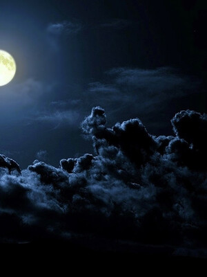 [趴趴熊] 神乳淫奴 04_082