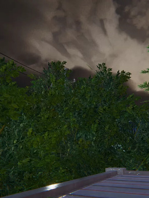 【OMG】熊猫市故事_00569