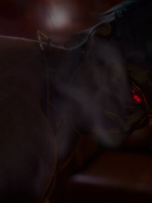 [敲西六]新乔安传3.3_040