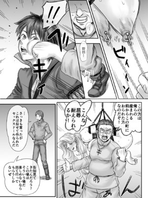 [まるまるアルマジロー] 機人の姫君セフィーナ愛玩御礼_23