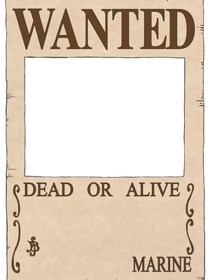 [iwao] ナミさん (ワンピース)_8