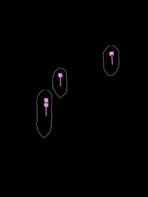 [傾世遊庵 (いつきけいせい)] 盲目の神子様が邪神共の玩具にされるお話_00000044