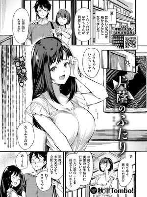 COMIC BAVEL 2026年1月号 [DL版]_568