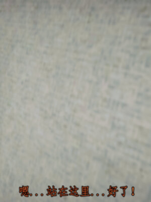 [lsmslkly]从零开始的噩梦生活03_031