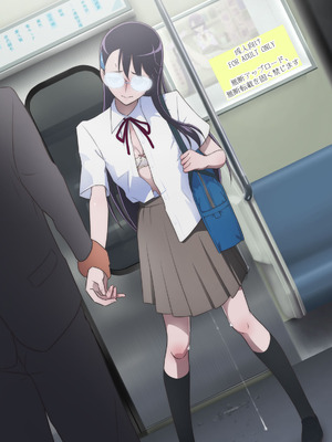 [書肆マガジンひとり (村々人)] 絶頂に耐える一輪の花 ～痴漢電車編～ (ハートキャッチプリキュア!)_09