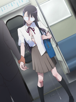 [書肆マガジンひとり (村々人)] 絶頂に耐える一輪の花 ～痴漢電車編～ (ハートキャッチプリキュア!)_17