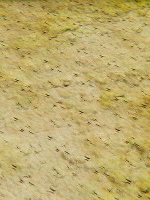 【high动力】永恒虚空01-05_1106