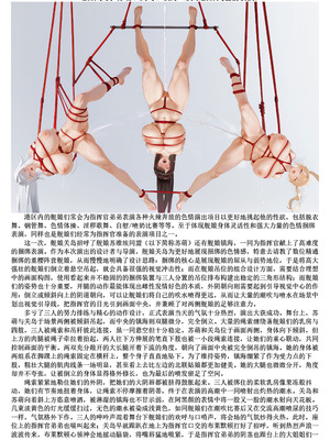 [acroyali] 碧蓝航线系列 双凤双飞本_26