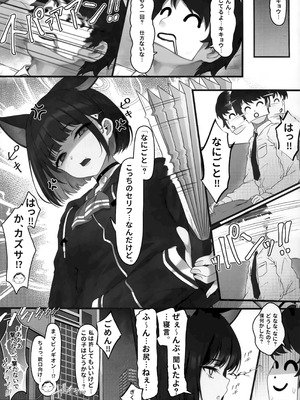 (C105) [よねや (俵太)] シュレディンガーの黒猫と3 猫と乙女と湯けむり事変 (ブルーアーカイブ)_20