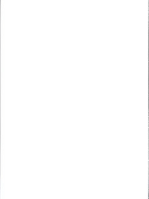 (C95) [犬とコタツ (七瀬瑞穂)] 脱法ヒヒイロカネ (グランブルーファンタジー)_23