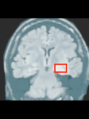 [ハチ公]義父に犯され 欲に流され+完堕ち、崩壊編 [中国翻訳][粗碼][真不可视汉化组、转尾巴猫汉化]_744