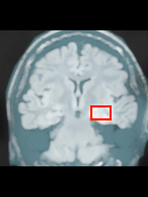 [ハチ公]義父に犯され 欲に流され+完堕ち、崩壊編 [中国翻訳][粗碼][真不可视汉化组、转尾巴猫汉化]_746