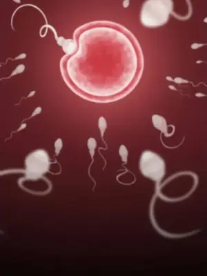 調教宮廷惡女 01-87話[完結]_085112v