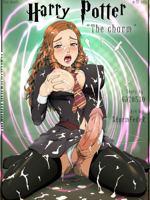 [StormFedeR] The Charm (Harry Potter) [心海汉化组]