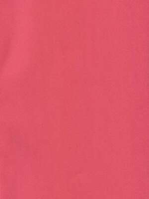 (C93) [ラピスラズリ鉱石 (黒羽ラピッド)] 鬼達の戦いはこれからだ! (東方Project) [中国翻訳]_02