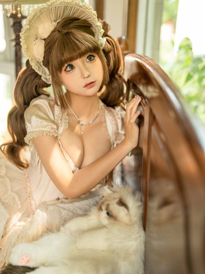 蠢沫沫 –&nbsp;&nbsp;布偶猫