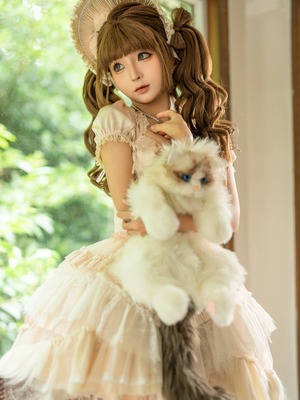 蠢沫沫 –&nbsp;&nbsp;布偶猫_c (12)