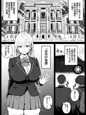 [しゅんか企画] 国内最高峰の財閥JKに催●かけてエロ漫画風孕まセックス_05