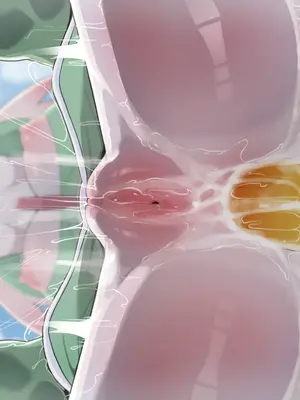 [DAGASI] ポケットモンスター 寶可夢 系列[無修正]_230