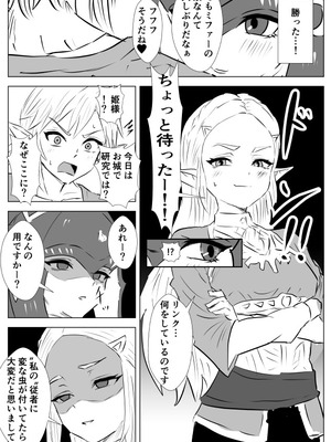 [たこやき] 腹黒姫様たちの仁義なき戦い (ゼルダの伝説)_05