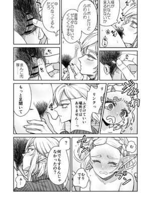 [どろりんちょ] 妻は100年前の姫巫女様 (ゼルダの伝説)_12