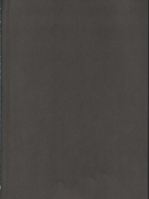 (科学世紀のカフェテラス13) [わんこ院 (中島楓)] 扉の向こうで (東方Project) [中国翻訳]_25