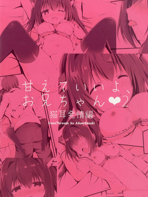 [Come Through (あづみ一樹)] 甘えていいよ、お兄ちゃん2 [藍人個人機翻] [DL版]_24