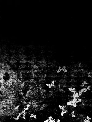 [ドウガネブイブイ (あぶりだしざくろ)]聖白蓮_0046