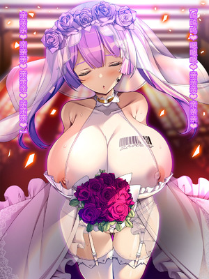 [とりのおいしいところ (鳥三、波多)] 聖霊騎装バニキューレ・フレイア [村长个人汉化]_1389