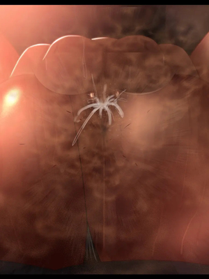 [ケセラ・セラ (瀬良透)] ゴリムチ女戦士さん♪お下劣チン道中っ!♪～硬派で屈強だけどゴブリンとかオークとかジジィとか変態魔導士とか勇者様に即チン負け三昧の俺っ娘爆乳爆尻女戦士さんっ♪～_457