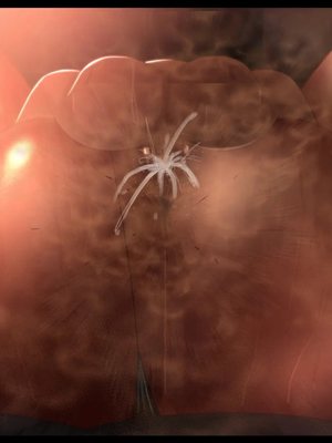 [ケセラ・セラ (瀬良透)] ゴリムチ女戦士さん♪お下劣チン道中っ!♪～硬派で屈強だけどゴブリンとかオークとかジジィとか変態魔導士とか勇者様に即チン負け三昧の俺っ娘爆乳爆尻女戦士さんっ♪～_458