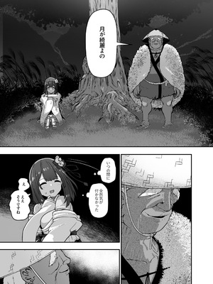 [こまめすがた (吾暮えくと)] 稗堕 (東方Project) [DL版]_035