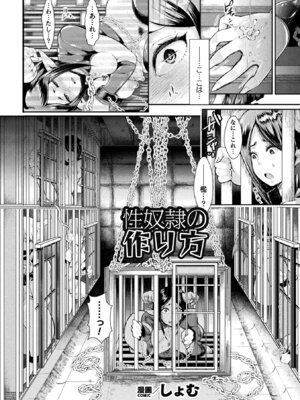 [アンソロジー] コミックアンリアル ザ・ベスト 壁尻コレクション [DL版]_071