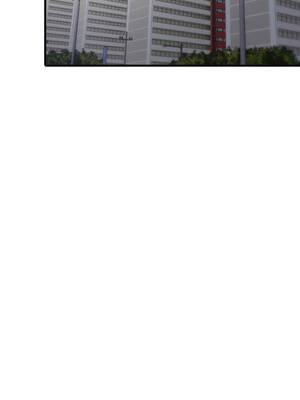 與人妻上司的夏日回憶 15-16話_15_04_bdyn