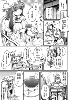 [自家発電処 (flanvia)] 穴とむっつりどすけべだいとしょかん総集編 (東方Project) [DL版]_005
