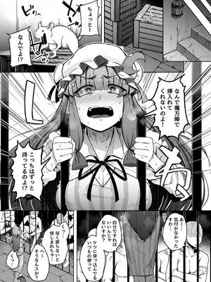 [自家発電処 (flanvia)] 穴とむっつりどすけべだいとしょかん総集編 (東方Project) [DL版]_139