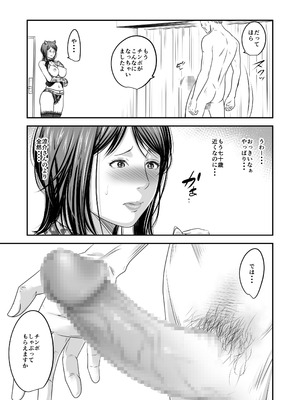 [いきぎれ商会 (れんする)] 償い妻 番外編3_23