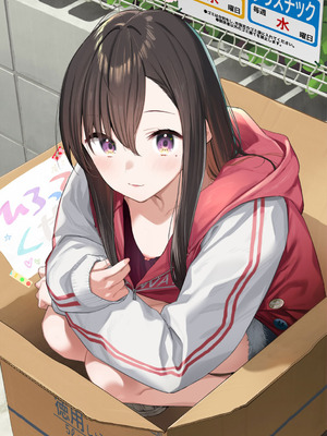 [東山エイト] 旅先で家出少女を拾った [DL版]_211