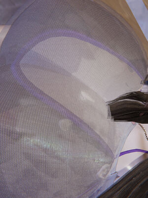 [飞碟] 我的妈妈苏雅薇01-02_002