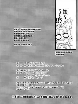 (C91) [Honoji (プーアカちゃん)] ダンボールのパレス (東方Project) [中国翻訳]_28