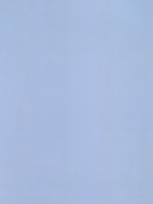 [有限産業すきま風 (探検はらはら)] 蓮子とメリーが朝からセックスするだけの本 (東方Project)｜莲子和梅莉从早上开始只是在做爱的本子 [24K同人汉化] [DL版]_41