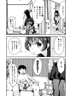 [ホロナミンZ (ホロナミン)] 少女姉妹は犯される Re：Rape番外編 [DL版]_04