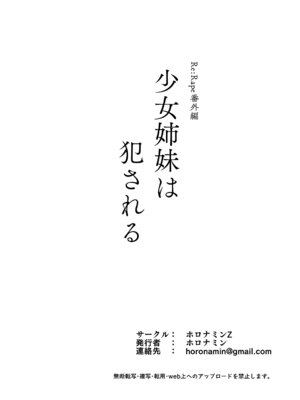 [ホロナミンZ (ホロナミン)] 少女姉妹は犯される Re：Rape番外編 [DL版]_26
