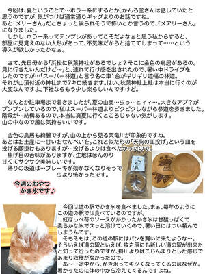 [かんろ堂アート (かんろ堂)] メアリーさん捕まえたんだけどどうしよっか？_044