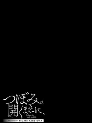 [左カゲトラ] つぼみは開くまえに、[DL版]_116