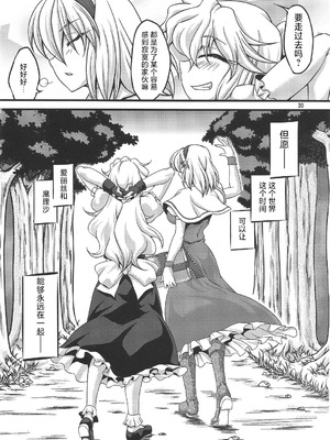 (C79) [幸撃 (大月渉)] にーたすななはバカップル (東方Project) [中国翻訳]_29