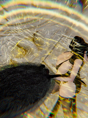 [Jayep]武林 17-20兵神怪坛_19-021