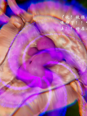 [Jayep]武林 17-20兵神怪坛_20-209