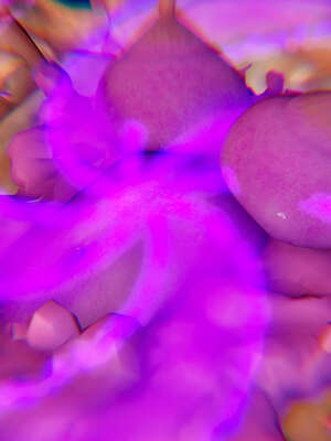 [Jayep]武林 17-20兵神怪坛_20-213